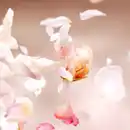 Bild 2 von HÖKGÖK Duftkerze im Glas, rosa Blüten blassrosa, 12 Std.