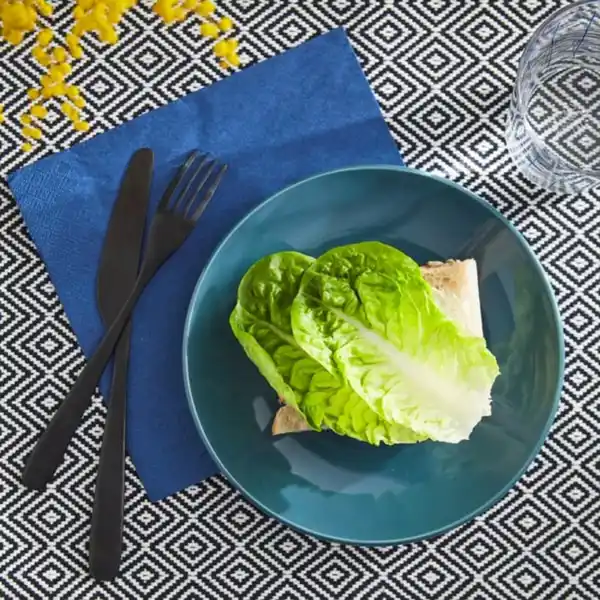 Bild 2 von SÅS SENAP &amp; DILL Soße zu Gravad Lachs