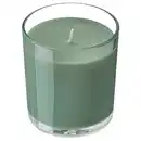 Bild 1 von LOTSFÅGEL Duftkerze im Glas, Feigenblatt grün, 40 Std.