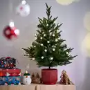 Bild 2 von VINTERFINT Topfpflanze, künstlich, drinnen/draußen/Weihnachtsbaum grün, 15 cm