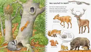 Wieso? Weshalb? Warum?, Mein junior-Lexikon Tiere / Anne Möller, Made in Europe