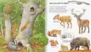 Bild 1 von Wieso? Weshalb? Warum?, Mein junior-Lexikon Tiere / Anne Möller, Made in Europe