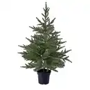 Bild 1 von VINTERFINT Topfpflanze, künstlich, drinnen/draußen/Weihnachtsbaum grün, 15 cm
