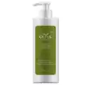 Bild 1 von OLIVA Bodylotion*