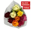Bild 1 von Fairtrade-Rosen*