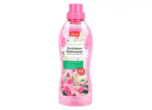 Grüner Jan Orchideen Gießwasser