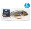 Bild 1 von SEAFOOD4YOU Dorade Royal*