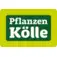 Pflanzen Kölle