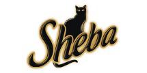 Angebote von Sheba vergleichen und suchen.