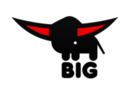 Big Logo