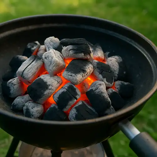 Grill-Holzkohle